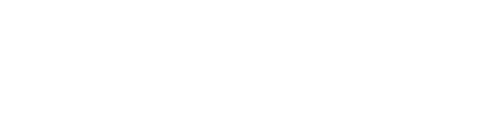 DiBiaso Group